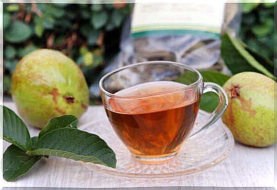 Guava leaf tea