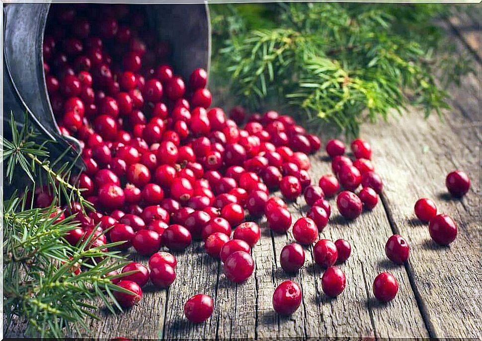 Protecting thyroid health with cranberries