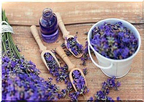 5 ways to use lavender to relax