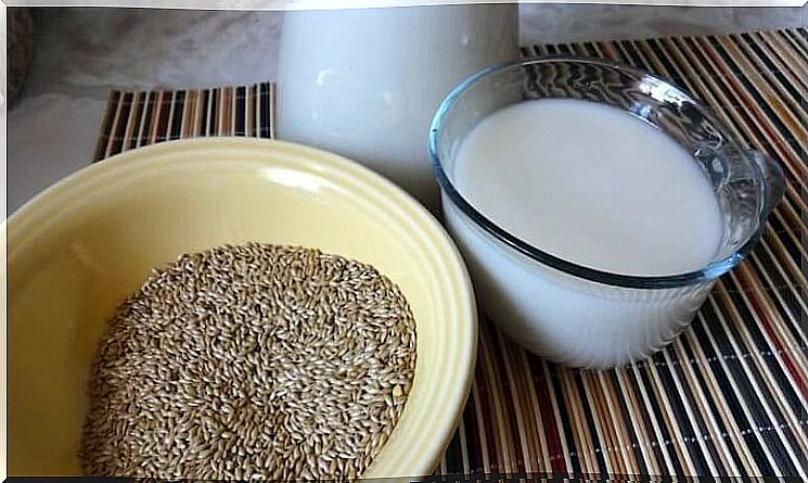 birdseed and vegetable milk