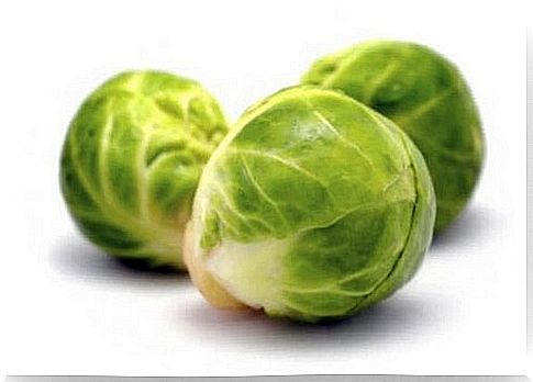 Brussels sprouts with a cream sauce