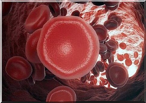 Clotting Problems: How Does the Blood Clotting Process Work?