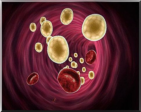 Good cholesterol from oatmeal