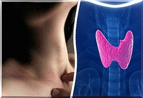 Foods that help regulate the thyroid gland