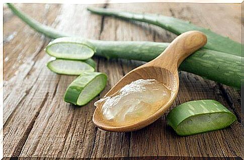 aloe vera.  One of the many home remedies for flatulence.