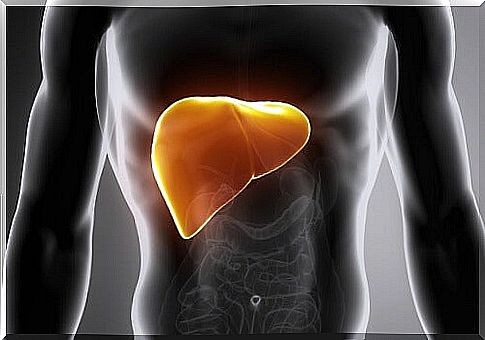 How can you treat a fatty liver?