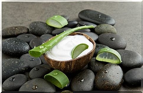 Cream of coconut milk and aloe vera