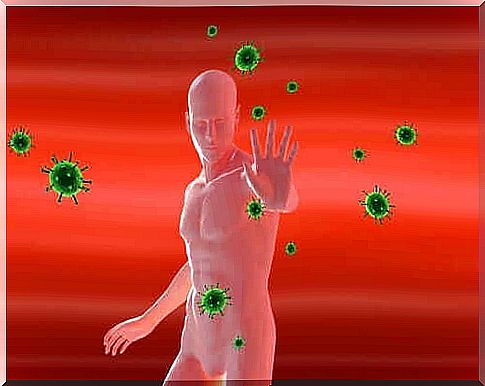 Immune system stops bad substances