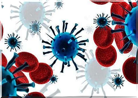 The immune system and lymphocytes