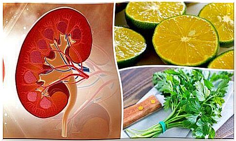 Lemon and parsley syrup against kidney stone