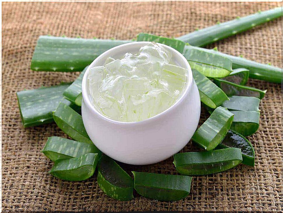 Homemade aloe vera cream 