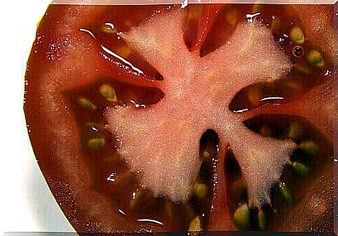 slice of tomato