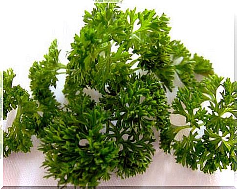 Parsley