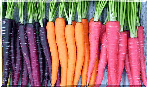 Carrots in different colors