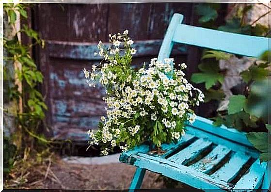 Old chair with flowers