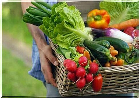 A basket full of fruits and vegetables