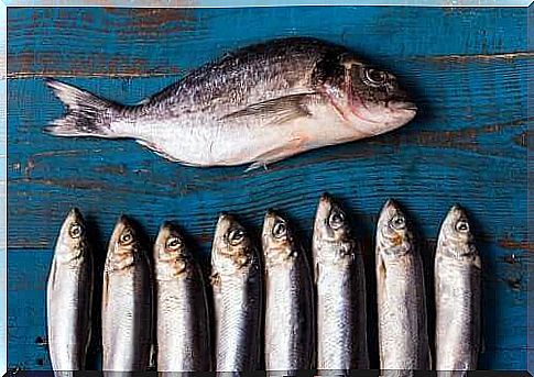 The benefits of eating fish