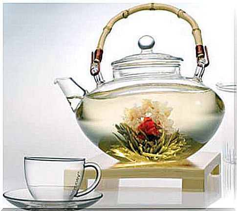 White tea is one of the best drinks to burn fat