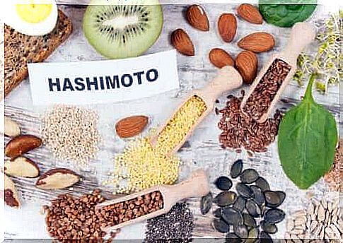 The Hashimoto Diet: Which Foods?