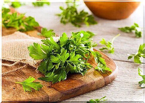 Using Parsley to Support Your Kidneys